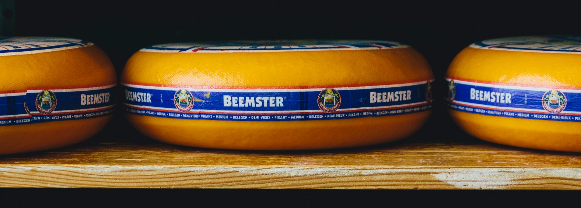 Cheese making amongst the cows in The Beemster